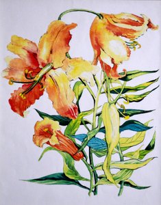 Orange Lilies 1, 1985 by Unbekannt Unbekannt